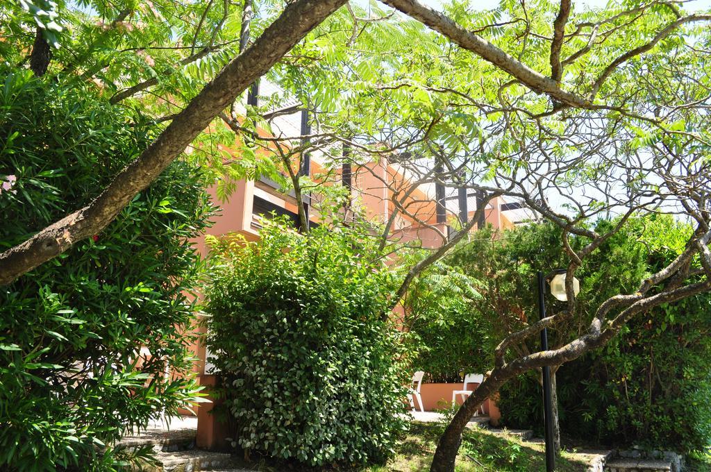 Club Residence Pianetamaratea Santa Caterina  Phòng bức ảnh